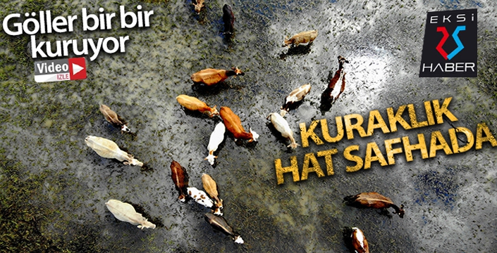 Erzurum'da kuraklık hat safhada, göller bir bir kuruyor