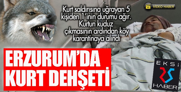 Erzurum’da kurt dehşeti: 5 yaralı 