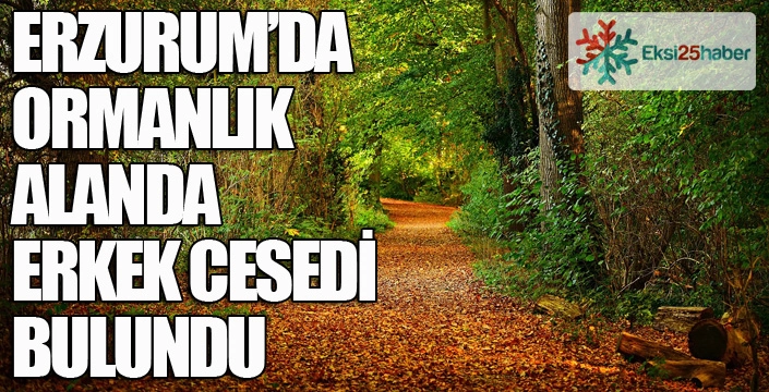Erzurum'da ormanlık alanda erkek cesedi bulundu...