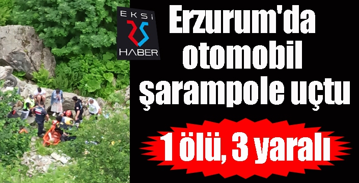 Erzurum'da otomobil şarampole uçtu: 1 ölü, 3 yaralı