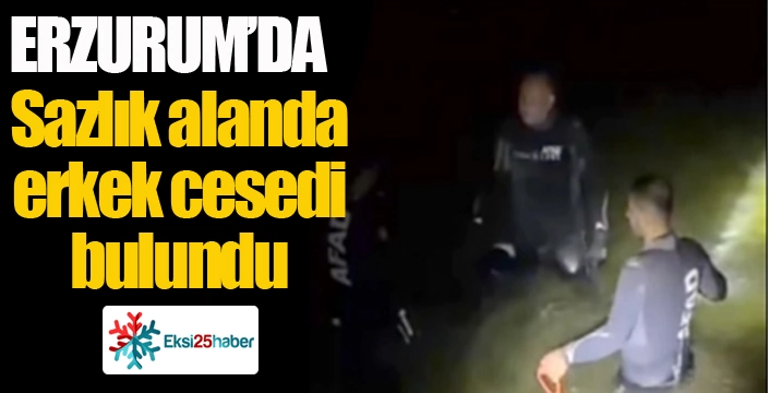 Erzurum'da sazlık alanda bir erkek cesedi bulundu
