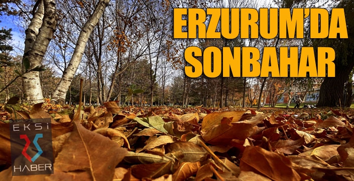 Erzurum’da sonbahar manzarası büyülüyor