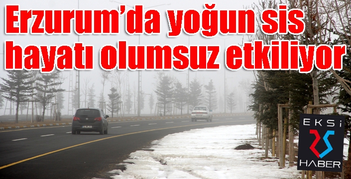 Erzurum’da yoğun sis hayatı olumsuz etkiliyor