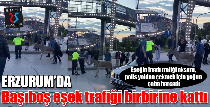 Eşeğin inadı trafiği aksattı, polis yoldan çekmek için yoğun çaba harcadı