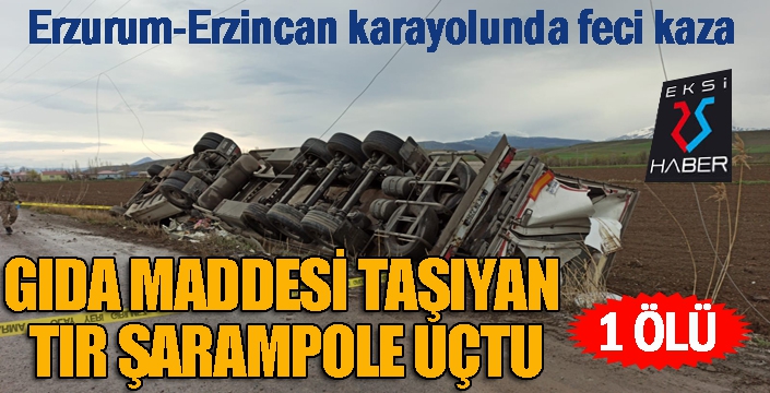 Gıda maddesi taşıyan TIR şarampole uçtu: 1 ölü