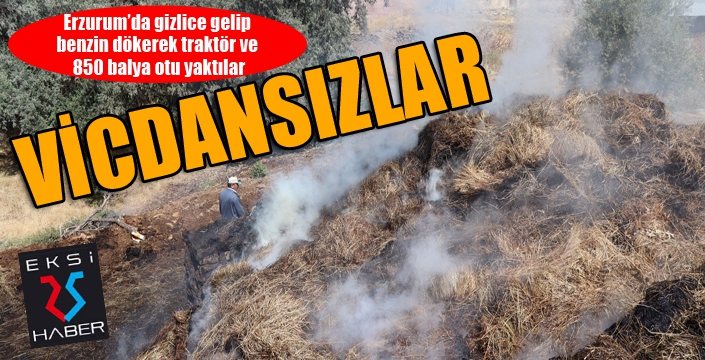 Gizlice gelip benzin dökerek traktör ve 850 balya otu yaktılar