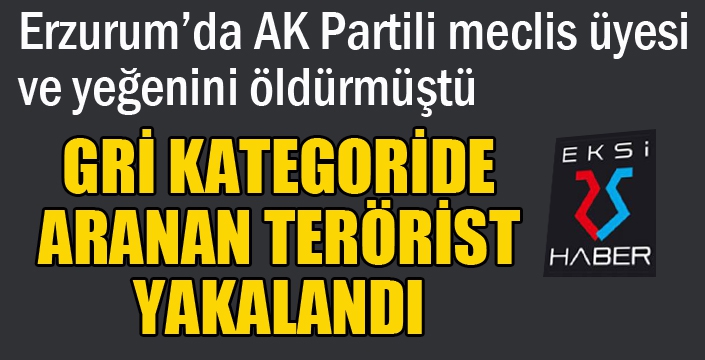 Gri kategoride aranan terörist yakalandı