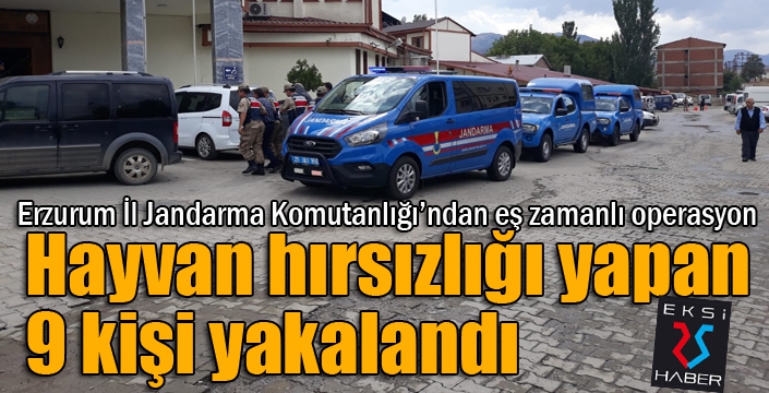 Hayvan hırsızlığı yapan 9 kişi yakalandı