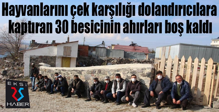 Hayvanlarını çek karşılığı dolandırıcılara kaptıran 30 besicinin ahırları boş kaldı