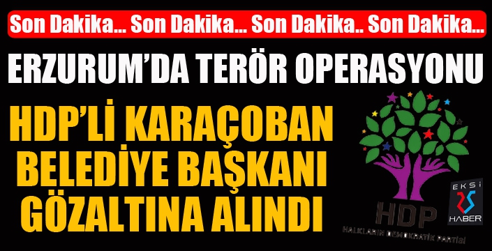 HDP'li Karaçoban Belediye Başkanı ve şoförü gözaltına alındı...