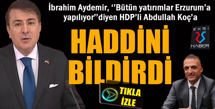 HDP'li vekil, İbrahim Aydemir'e tosladı!