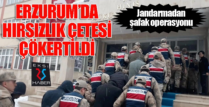 Hırsızlık çetesi çökertildi