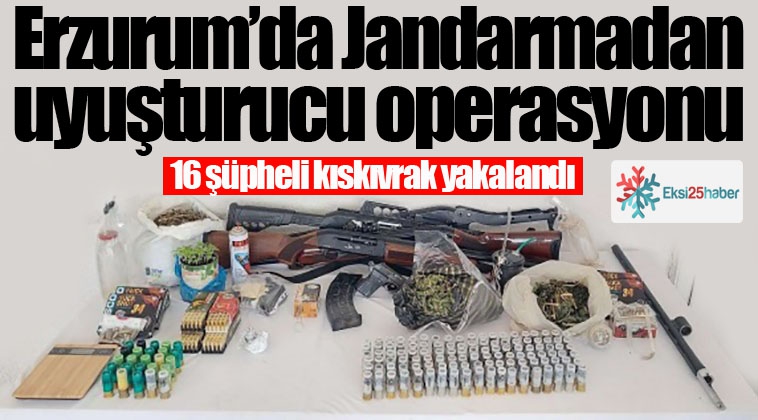 Jandarma’dan uyuşturucu operasyonu