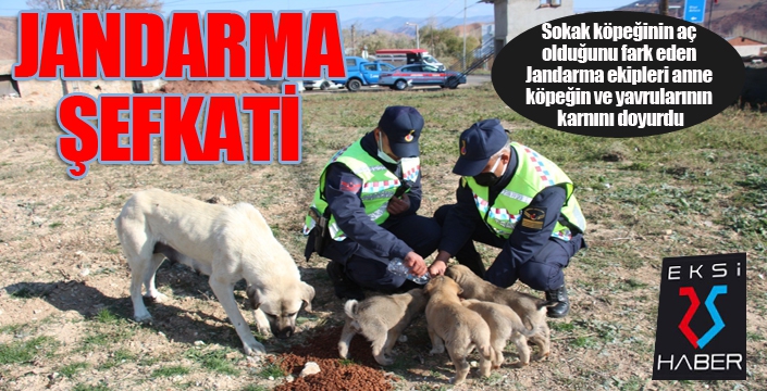 Jandarma şefkati...