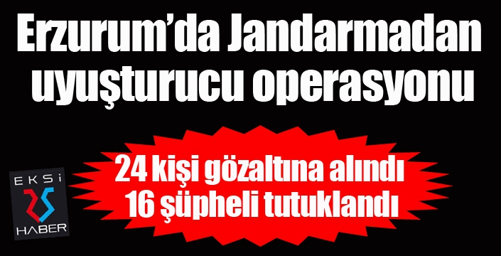 Jandarmadan uyuşturucu operasyonu