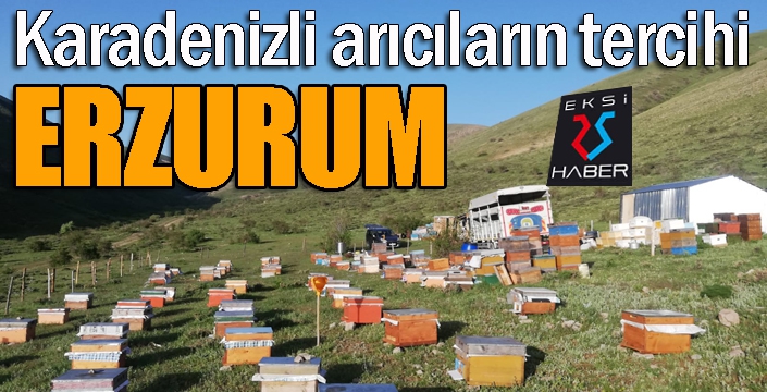Karadenizli gezgin arıcılar Erzurum’u tercih ediyor