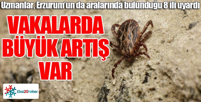 Kene vakalarında büyük artış var...