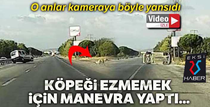 Köpeği ezmemek için takla attı, o anlar kamerada