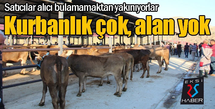 Kurbanlık çok, alan yok