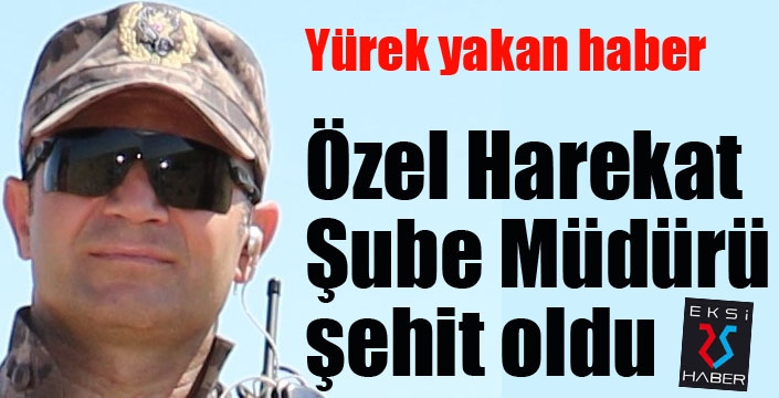 Mardin'den acı haber: Özel Harekat Şube Müdürü şehit oldu