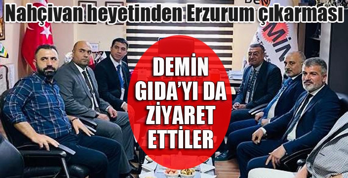 Nahçıvan heyeti Erzurum'a çıkarma yaptı...