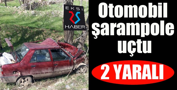 Oltu'da otomobil şarampole uçtu: 2 yaralı