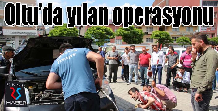 Oltu’da yılan operasyonu