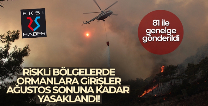 Orman yangını için riskli bölgelere girişler 31 Ağustos'a kadar yasaklandı