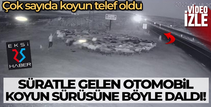 Otomobilin koyun sürüsüne dalma anı kamerada