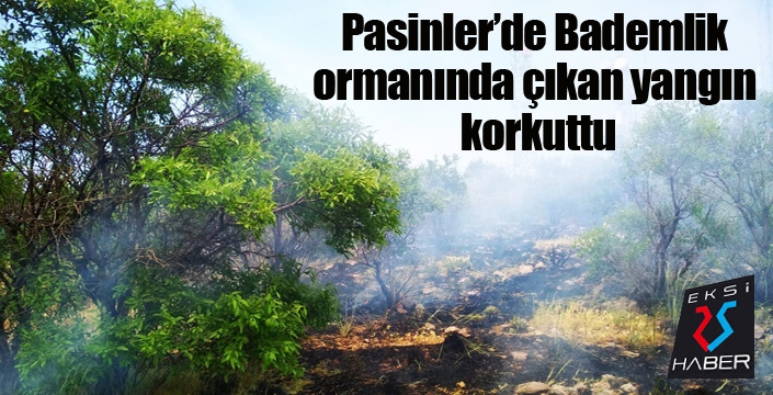 Pasinler'de bademlik ormanında çıkan yangın korkuttu