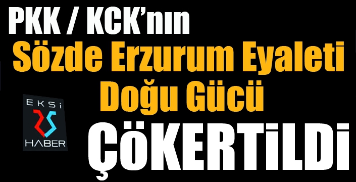 PKK'nın sözde Erzurum Eyaleti Doğu Gücü çökertildi...