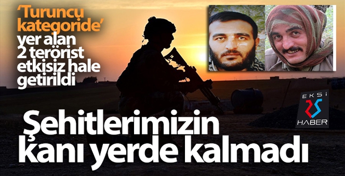 Şehitlerimizin kanı yerde kalmadı