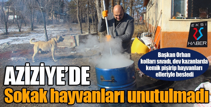 Soğuk havanın etkili olduğu Erzurum’da kazanlar sokak hayvanları için kaynadı