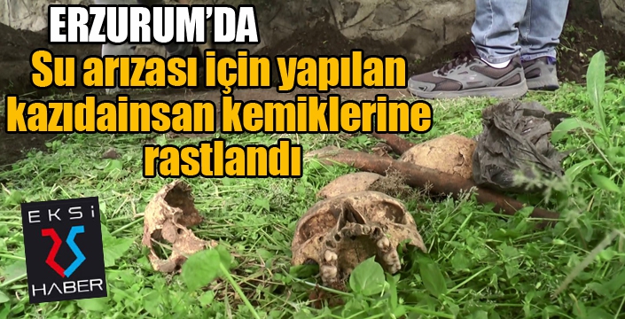 Su patlağı için yapılan kazıda ortaya çıkan kemik parçaları panik yaşattı