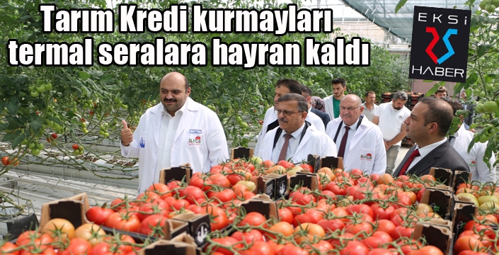 Tarım Kredi kurmayları termal seralara hayran kaldı