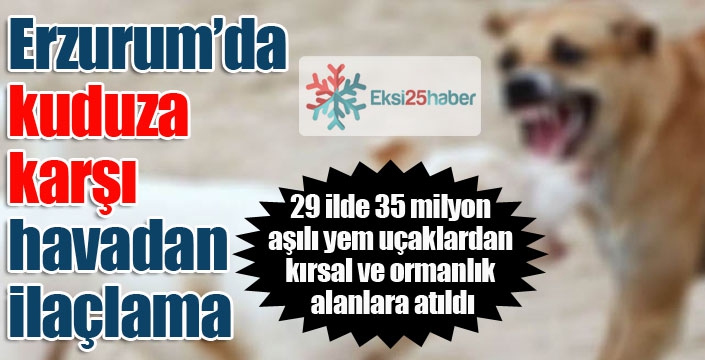 Tarım ve Orman Bakanlığınca kuduzla mücadelede havadan aşılı yem bırakılıyor