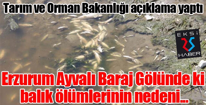 Tarım ve Orman Bakanlığından ‘balık ölümleri’ açıklaması