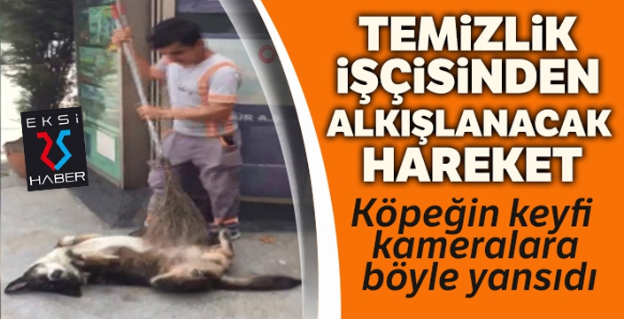 Temizlik işçisinden köpeğe masaj