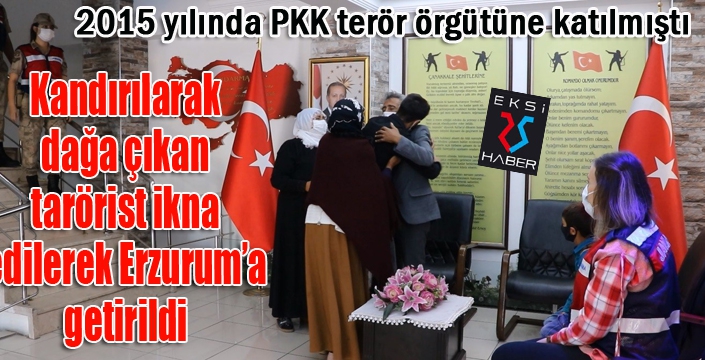 Terör örgütü tarafından kandırılan bir kişi daha ikna edilerek Türkiye'ye getirildi