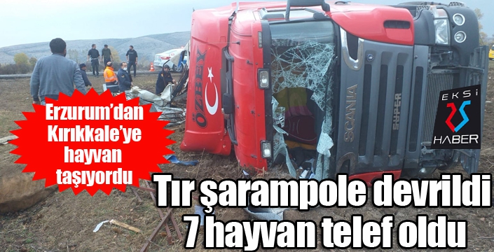 Tır şarampole devrildi, 7 hayvan telef oldu