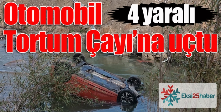 Tortum Çayı'na araç uçtu, 4 kişi yaralandı