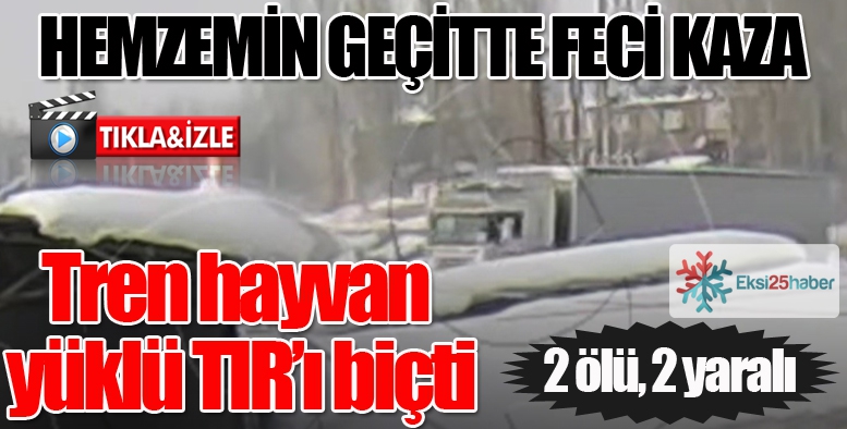 Tren hayvan yüklü TIR'ı biçti: 2 ölü, 2 yaralı...