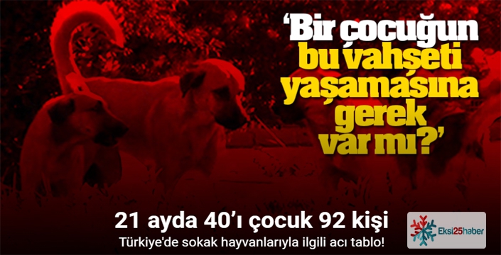 Türkiye’de sokak hayvanlarıyla ilgili acı tablo: 21 ayda 40’ı çocuk 92 kişi hayatını kaybetti