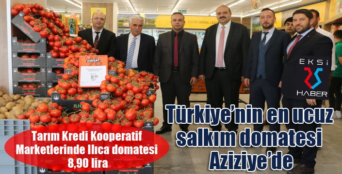 Türkiye’nin en ucuz salkım domatesi Aziziye’de