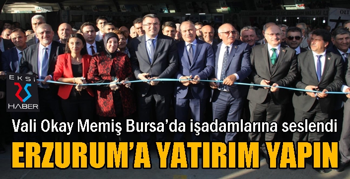 Vali Memiş’ten iş adamlarına yatırım çağrısı