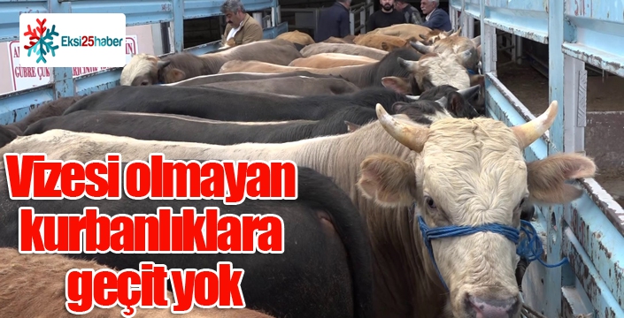 Vizesi olmayan kurbanlıklara geçit yok