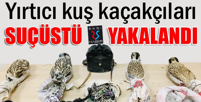 Yırtıcı kuş kaçakçıları suçüstü yakalandı